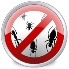 Miglior Antivirus | I migliori gratis 